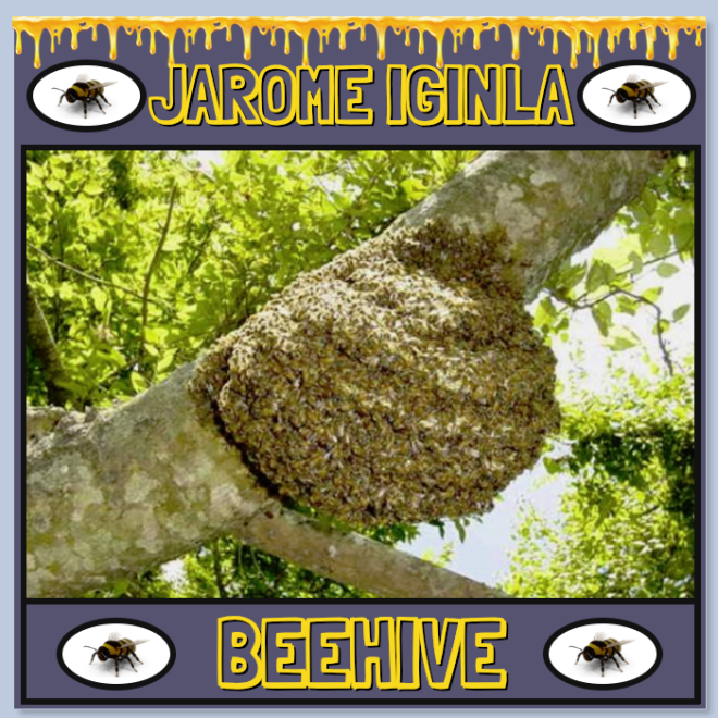 bee hive.1