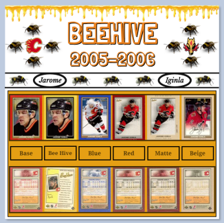 bee hive.4